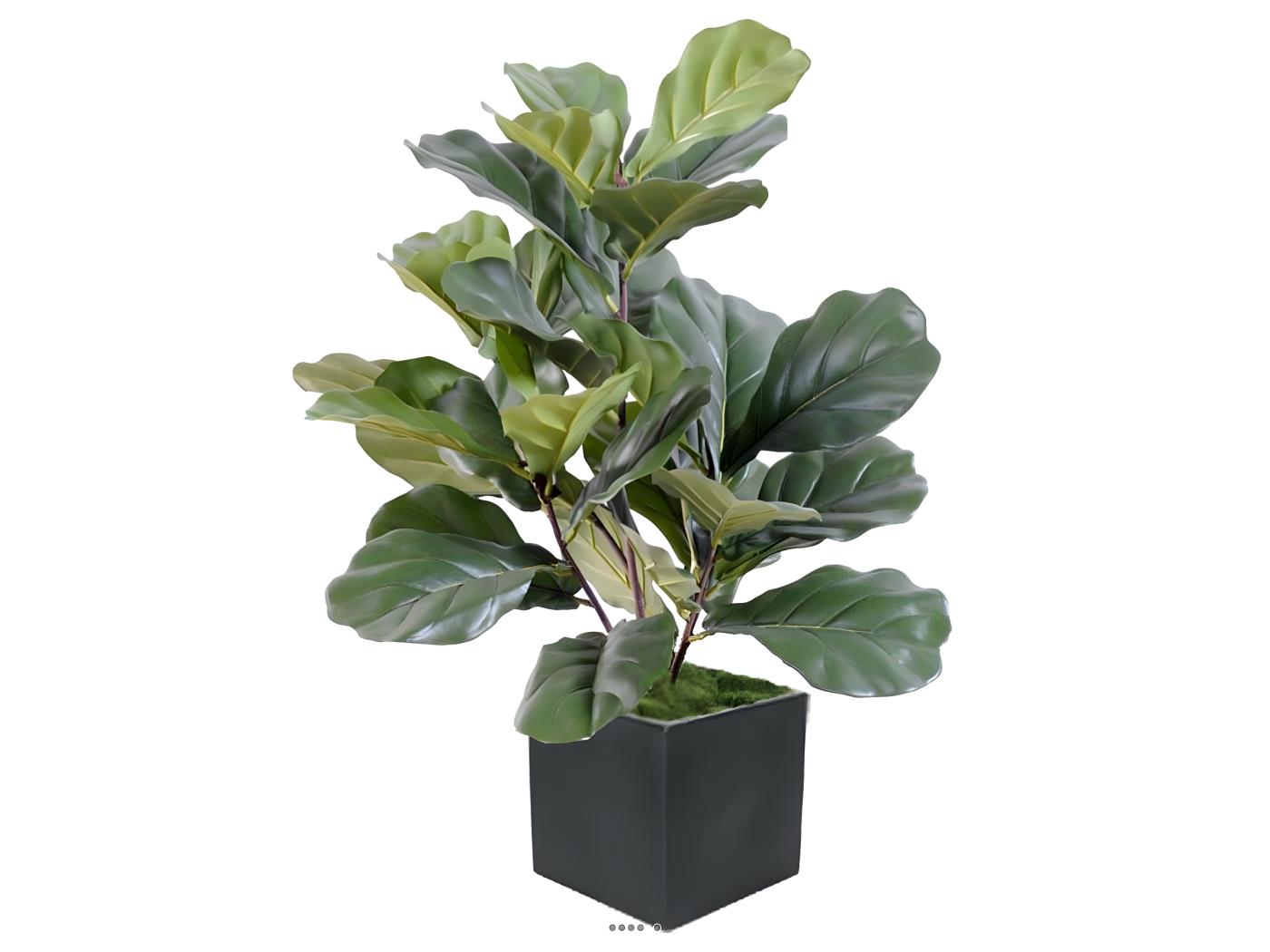 Ficus Lyrata Buisson Factice Tronc PE En Pot Chic Original H60cm Vert