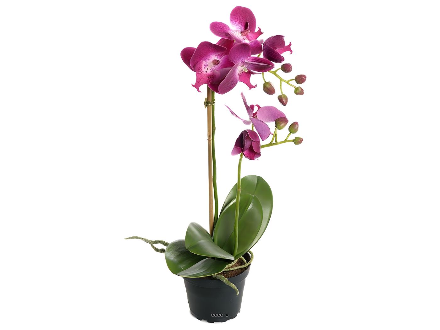 Orchidee artificielle 2 hampes en pot H 40 cm touché réel Erica