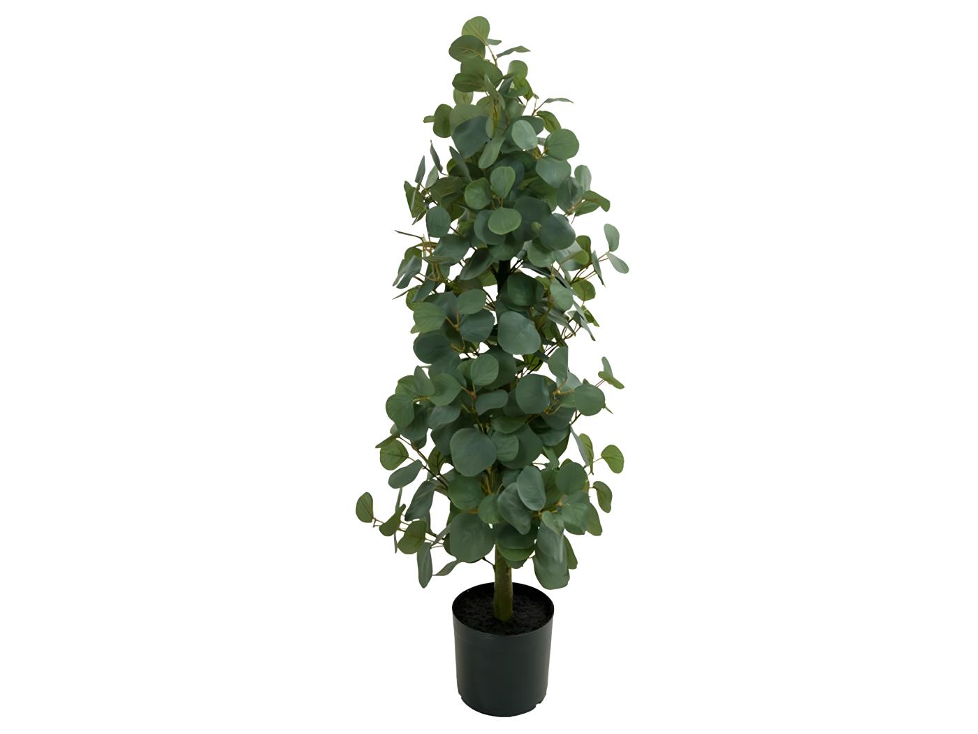 Eucalyptus à feuilles rondes sur pied artificiel H 100 cm D 33 cm