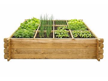 Carré potager