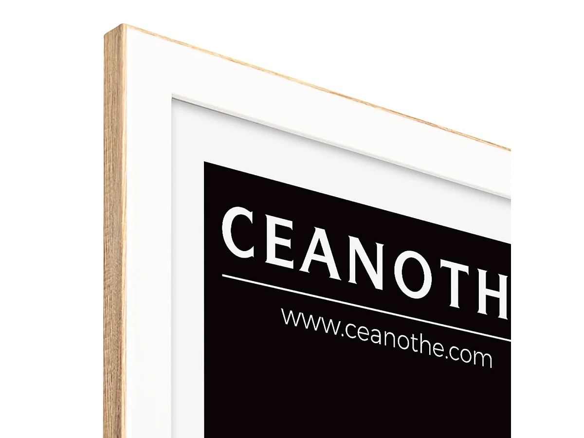 Cadre photo Newton brut 60x80 cm