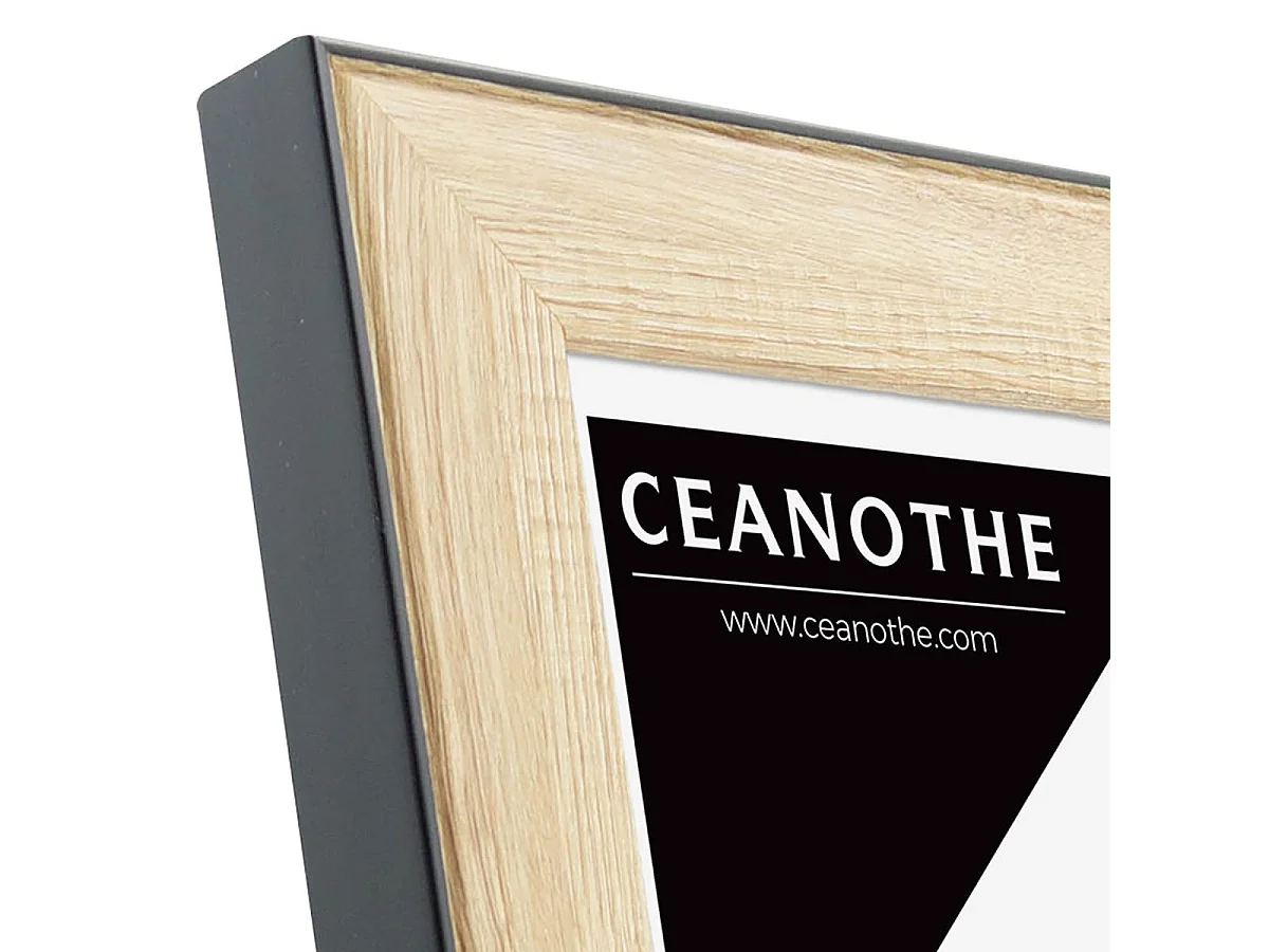 Cadre photo Newton bois noir 10x15 cm