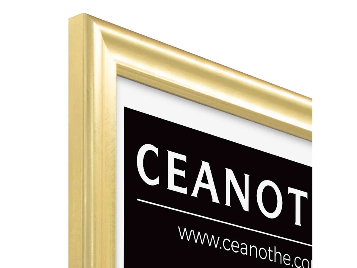 Cadre photo Julia doré 40x50 cm