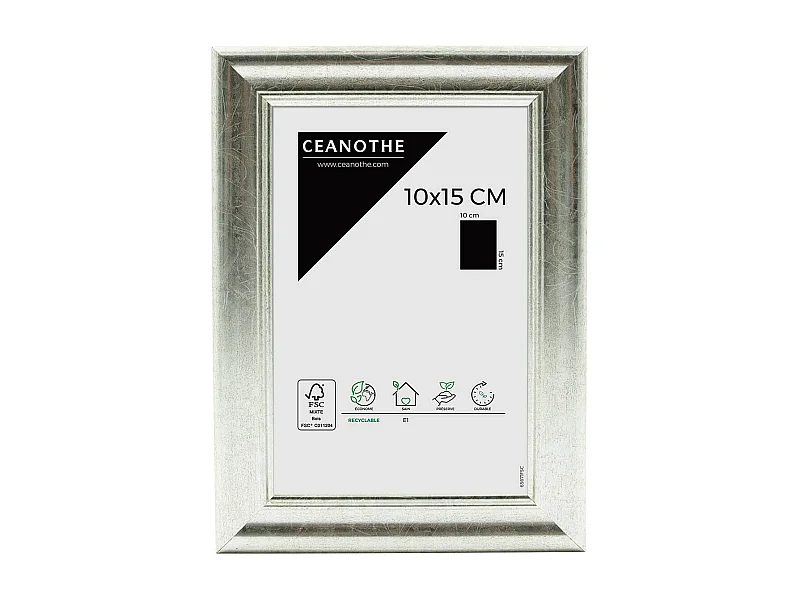 Cadre photo Circée Classique argent 10x15 cm
