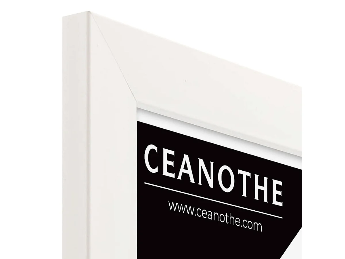 Cadre photo Wild ébène 30x30 cm avec passe-partout 13x13 cm