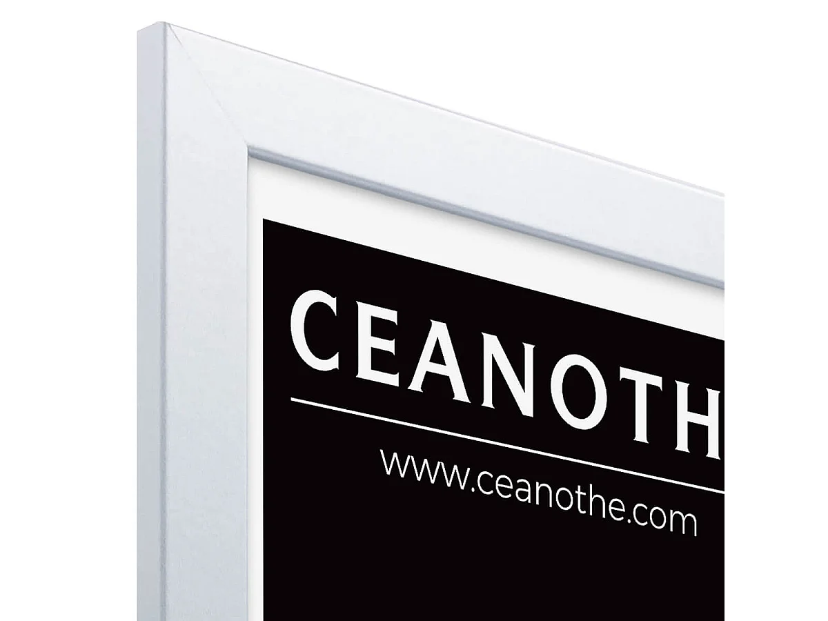 Cadre photo Mat alu 40x50 cm