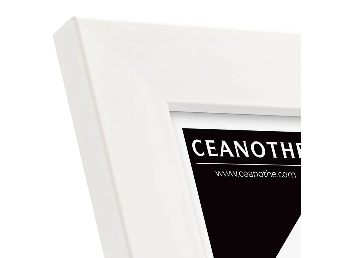 Cadre photo Wild ébène 60x80 cm avec passe-partout 40x50 cm