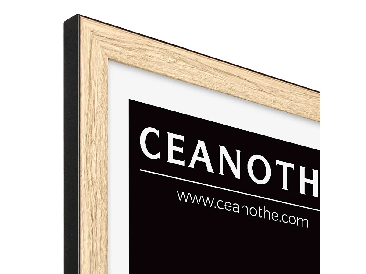 Cadre photo Newton bois noir 50x70 cm