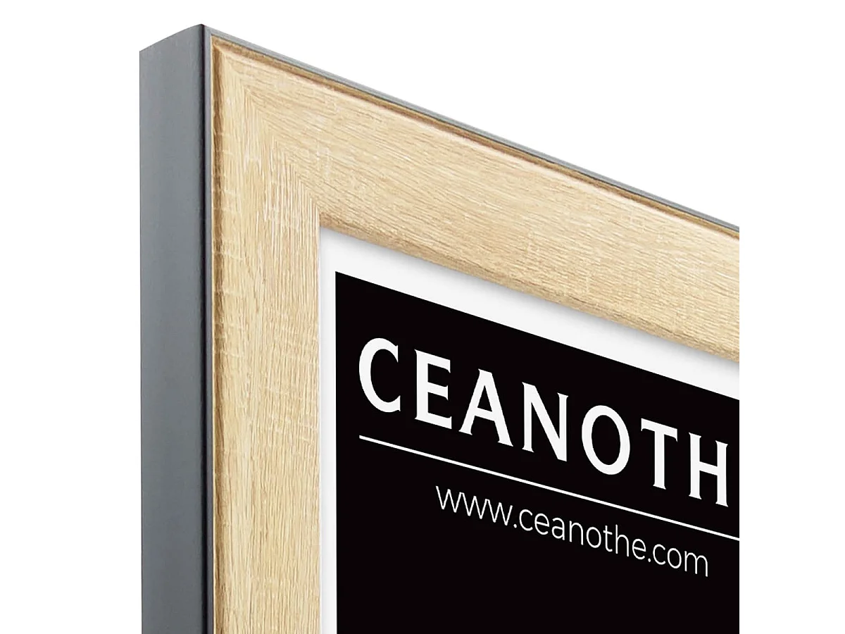 Cadre photo Newton bois noir 20x30 cm