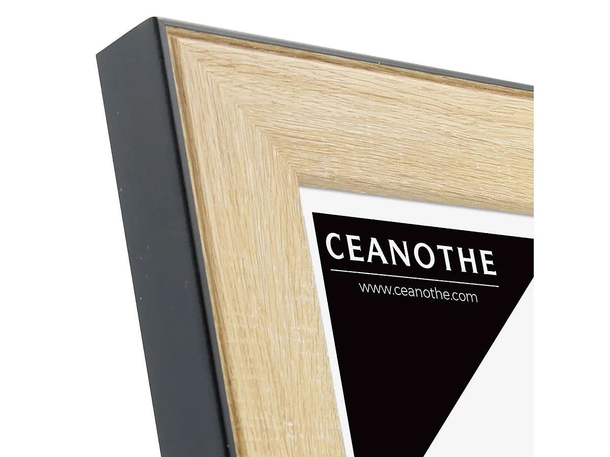 Cadre photo Newton bois noir 13x18 cm