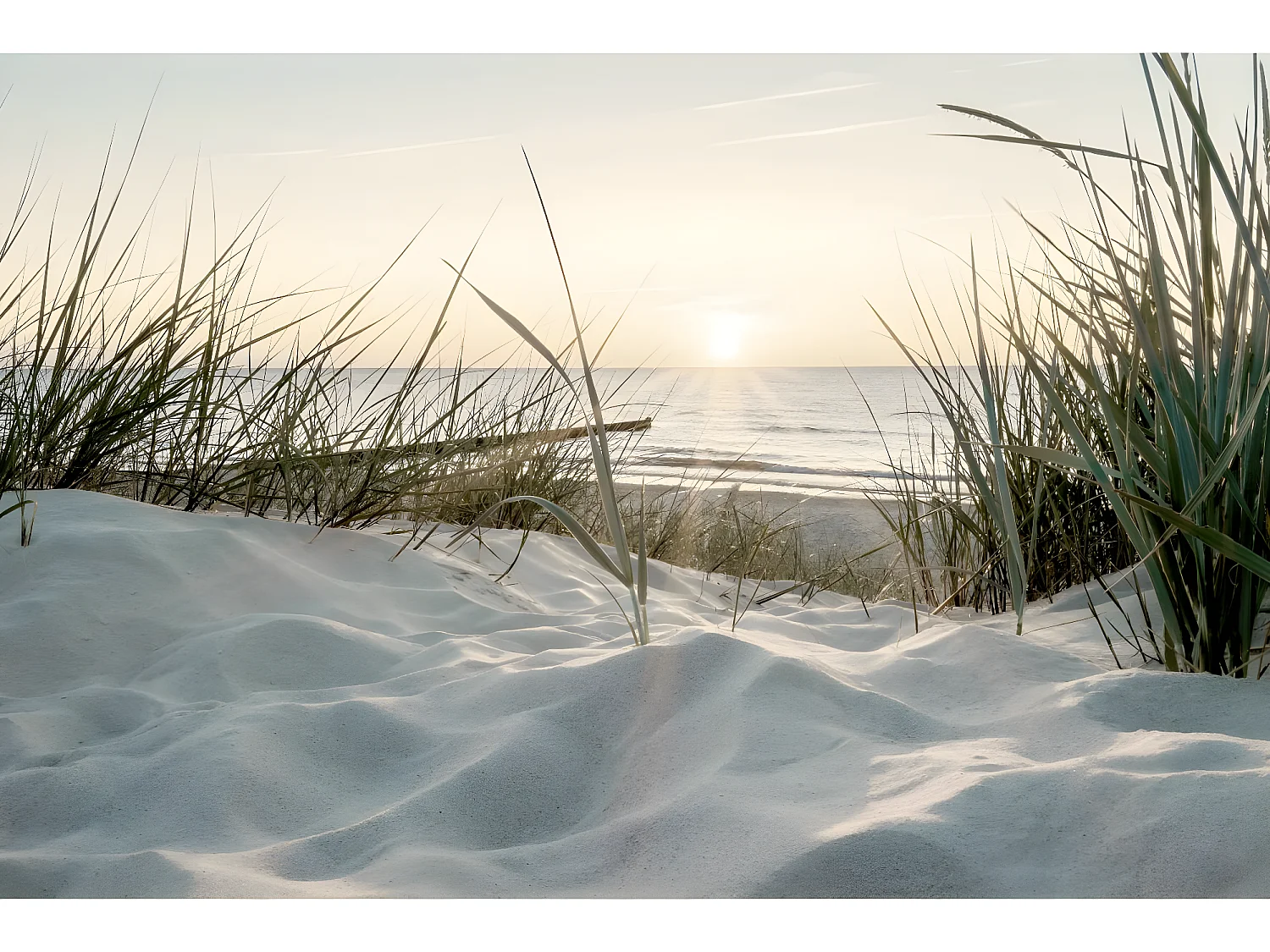 Tableau sur toile coucher de soleil 45x65 cm