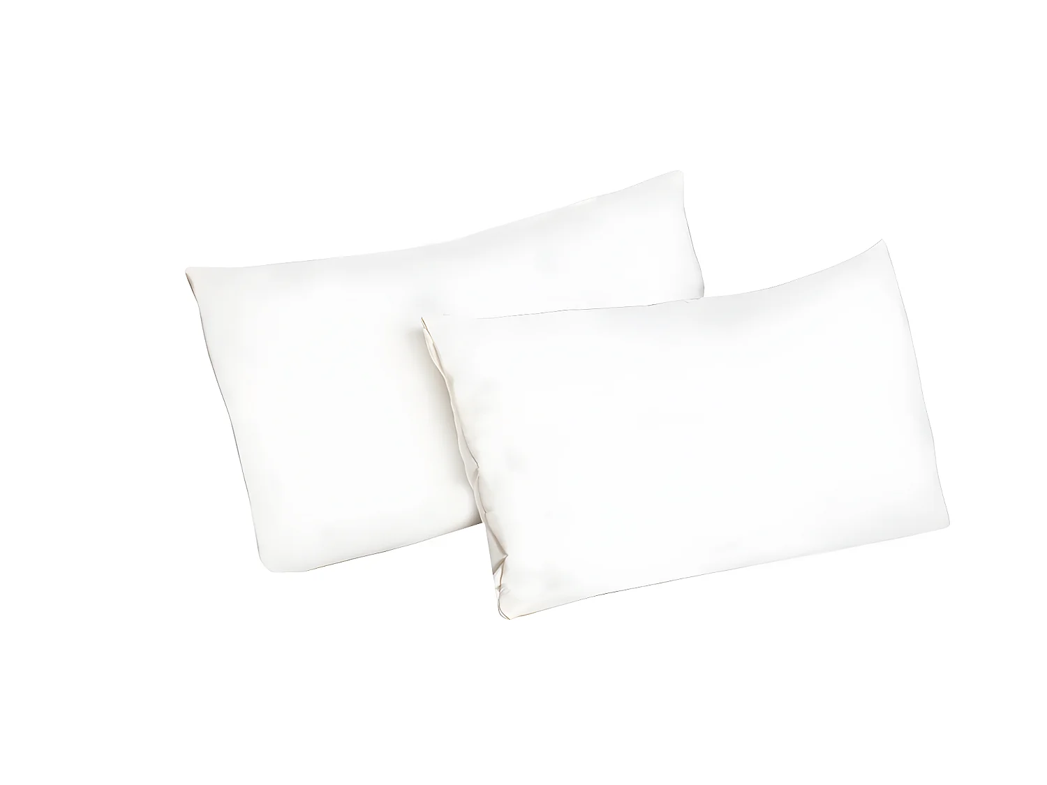 Hamac De Jardin Suspendu  Chicago Double 2 Personnes+ 2 Oreillers