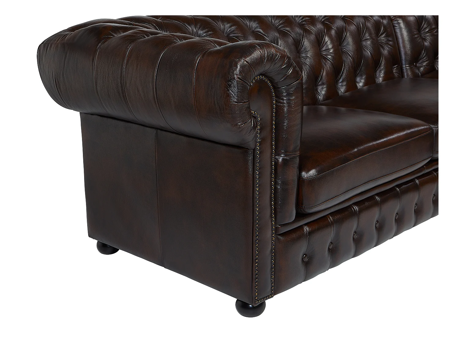 Sofá de canto chesterfield 100% pele de búfalo Castanho reflexos castanhos - Canto direito - BRENTON