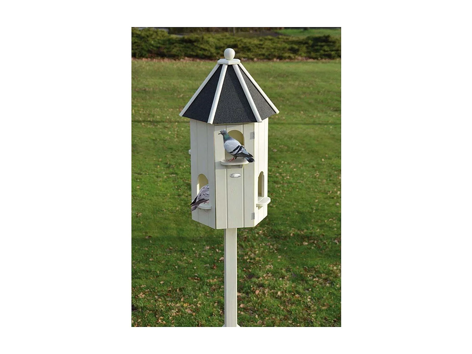 Pigeonnier en pin blanc