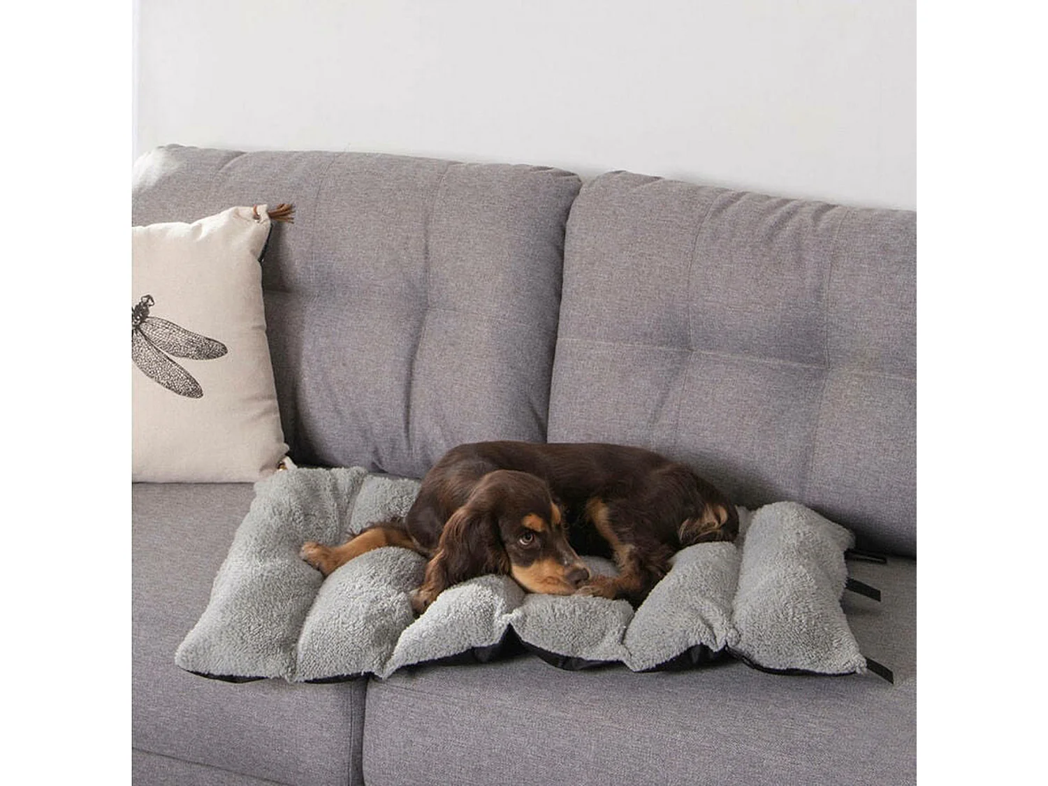 Matelas de Voyage pour Chien "Anti-Tâches" 80cm Noir