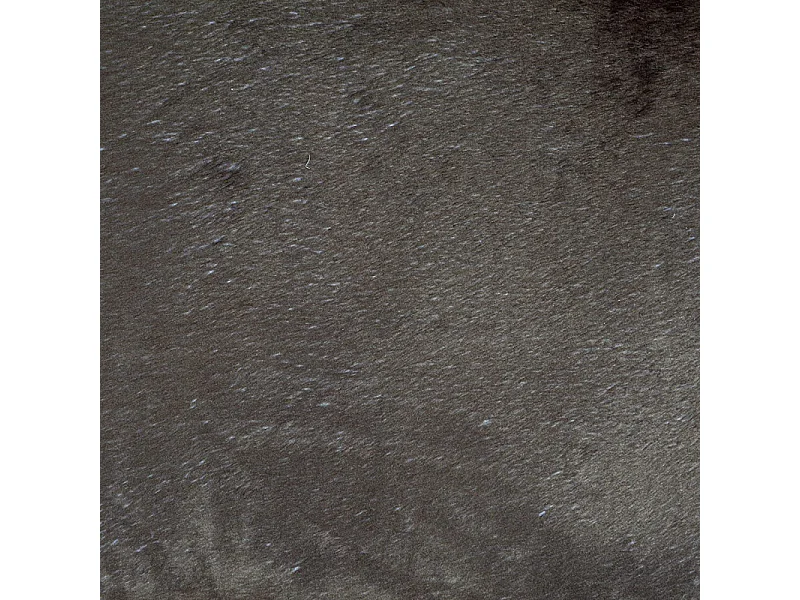 Panier pour Chien & Chat "Patchy" 50cm Beige