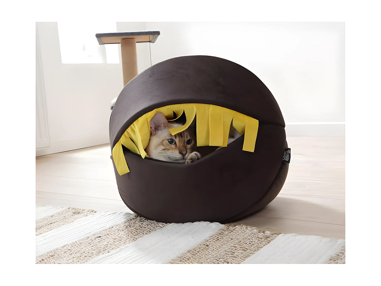 Niche 2 en 1 pour Chat "Cosy Golden" 40cm Noir