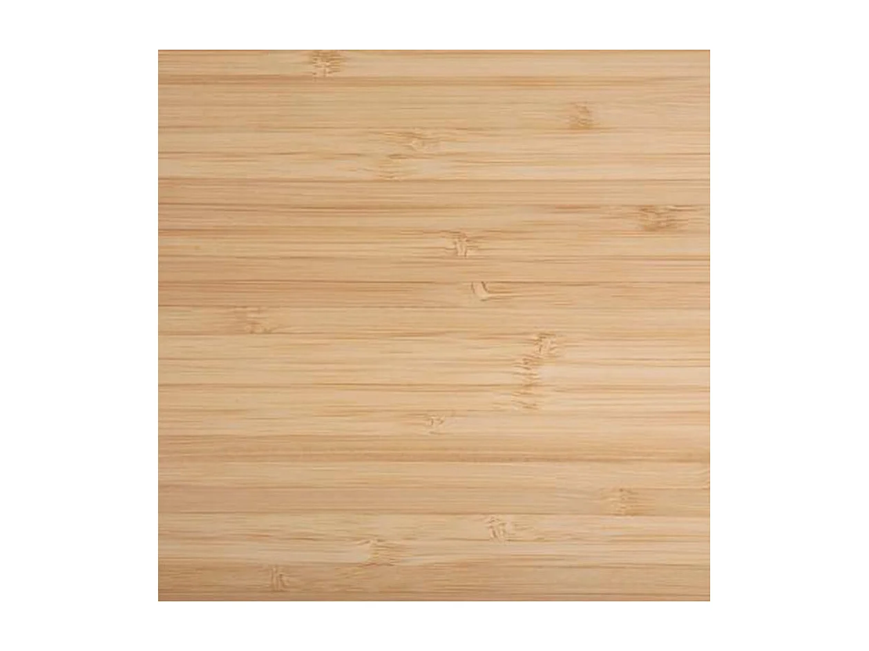 Saladier & Couvercle "Bambou" 2,5L Transparent