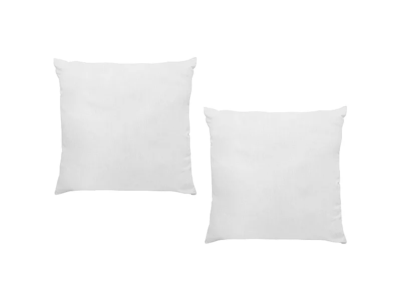 Lot de 2 oreillers 60 x 60 cm de DREAMEA - 400gr - BIESYA