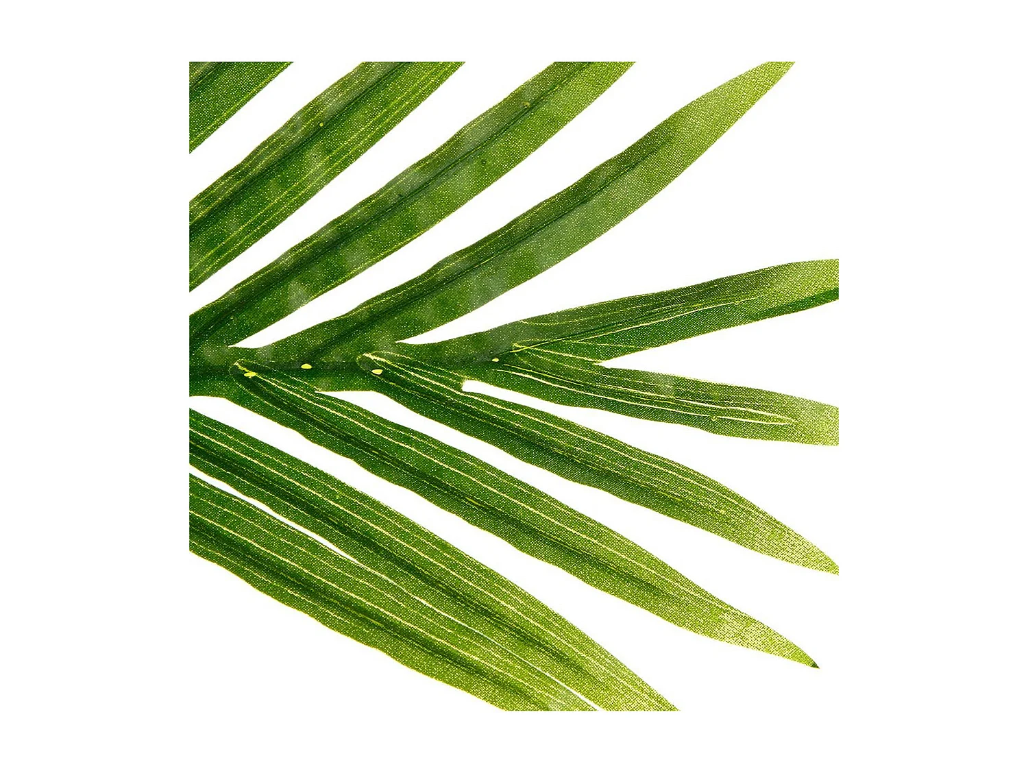 Plante Artificielle "Palmier" 180cm Vert