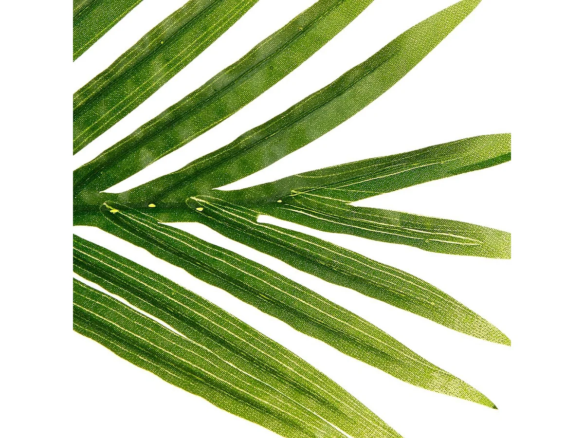 Plante Artificielle "Palmier" 180cm Vert