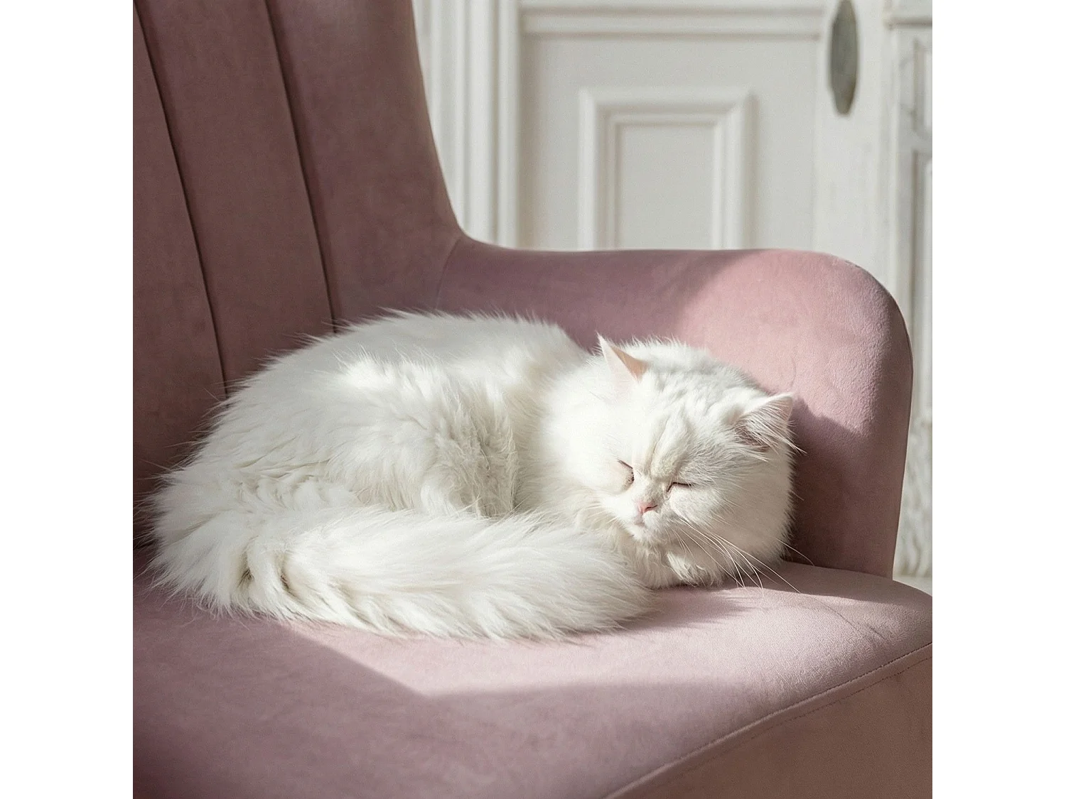 Fauteuil Scandinave Velours "Velvet" 94cm Rose