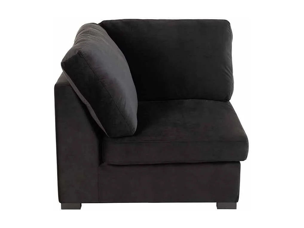 Fauteuil Design en Velours "Abosa" 108cm Noir