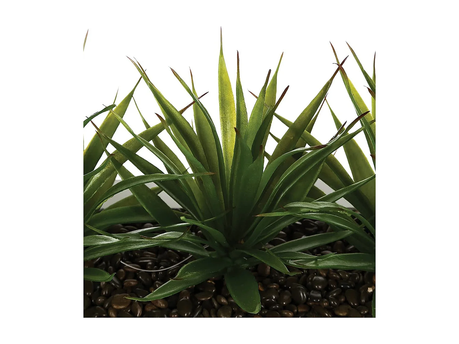 Centre de Table Aloe Vera "Plant" 31cm Blanc