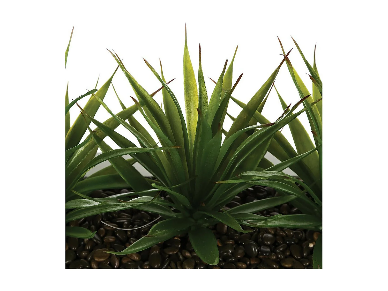 Tafelaufsatz 3 künstliche Aloe Vera H17cm - Weiß -