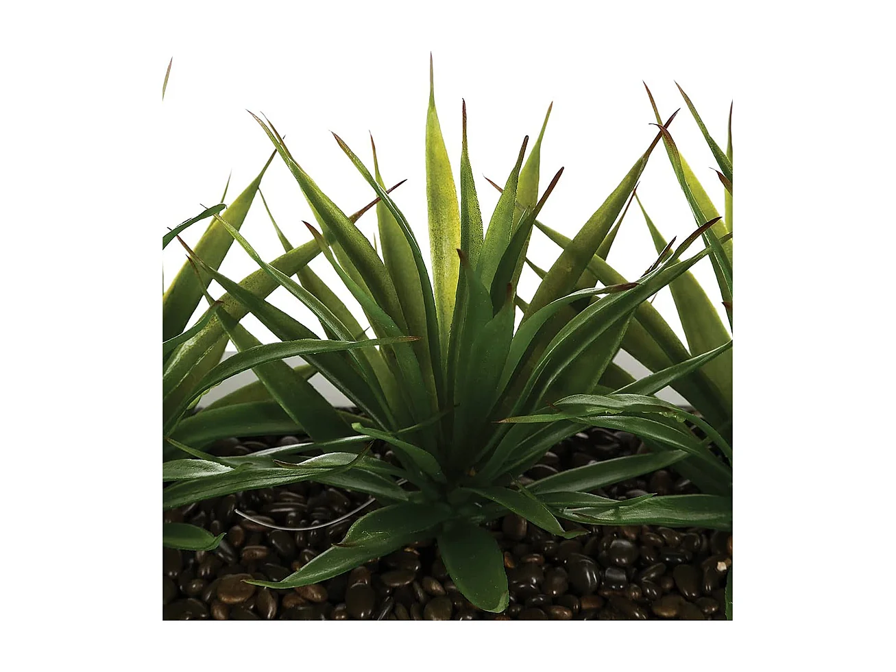 Tafelaufsatz 3 künstliche Aloe Vera H17cm - Weiß -