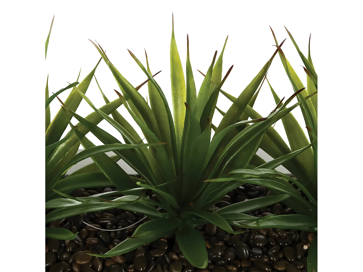 Tafelaufsatz 3 künstliche Aloe Vera H17cm - Weiß -