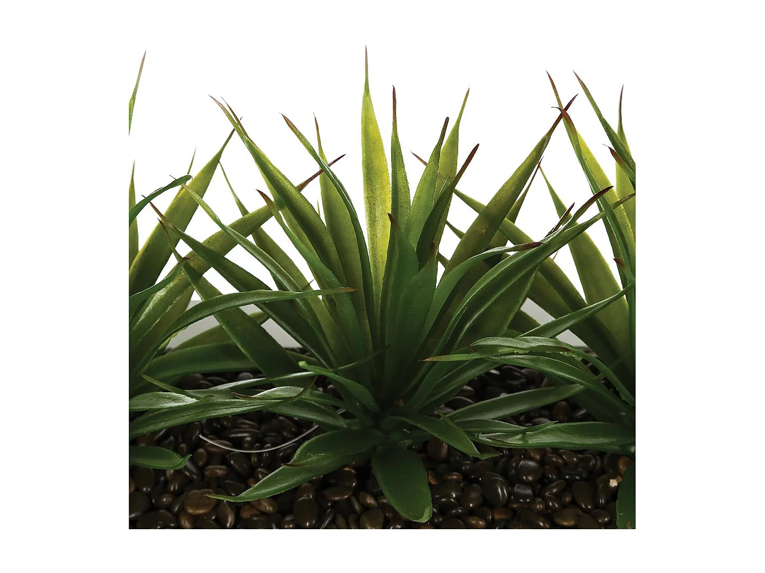 Centre de Table Aloe Vera "Plant" 31cm Blanc