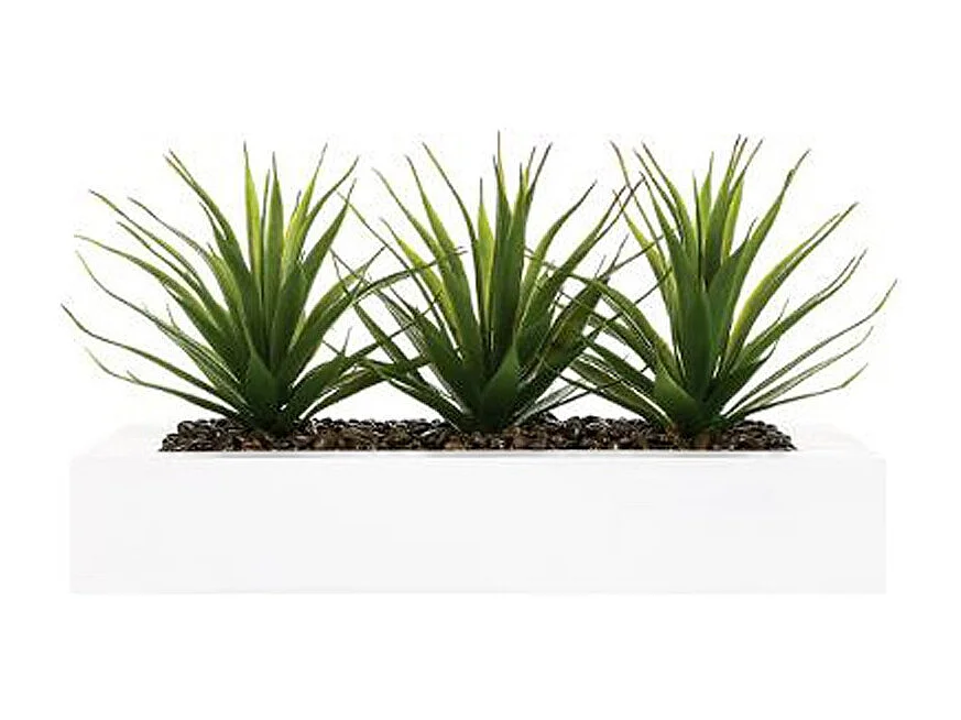 Centre de Table Aloe Vera "Plant" 31cm Blanc