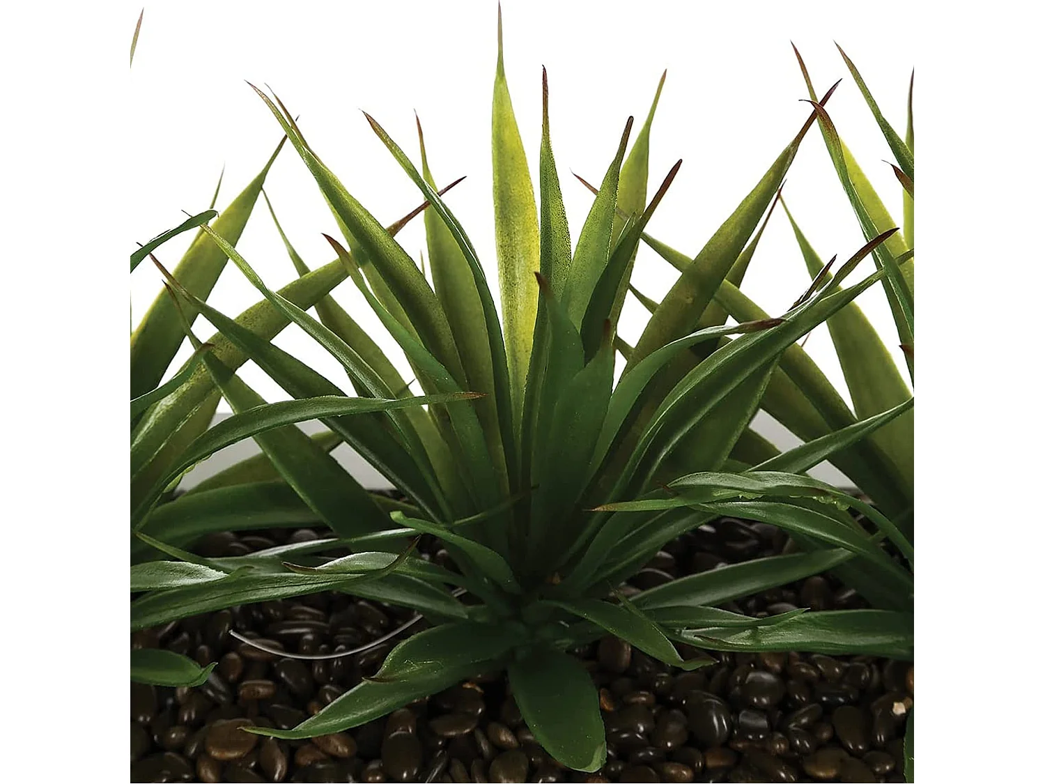 Centre de Table Aloe Vera "Plant" 31cm Blanc