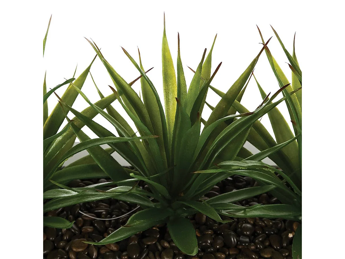 Centre de Table Aloe Vera "Plant" 31cm Blanc