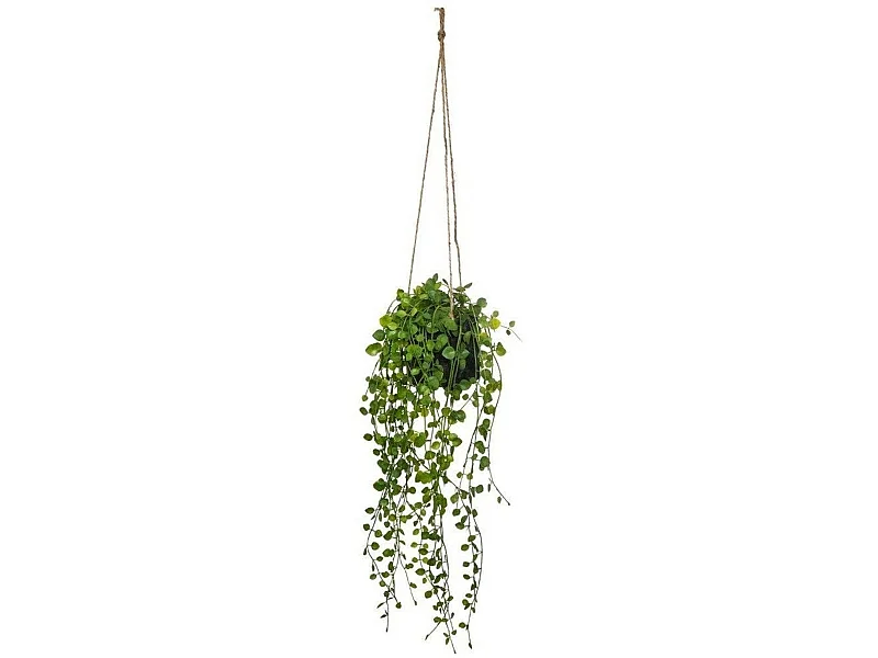 Plante Artificielle à Suspendre "Living" 62cm Vert