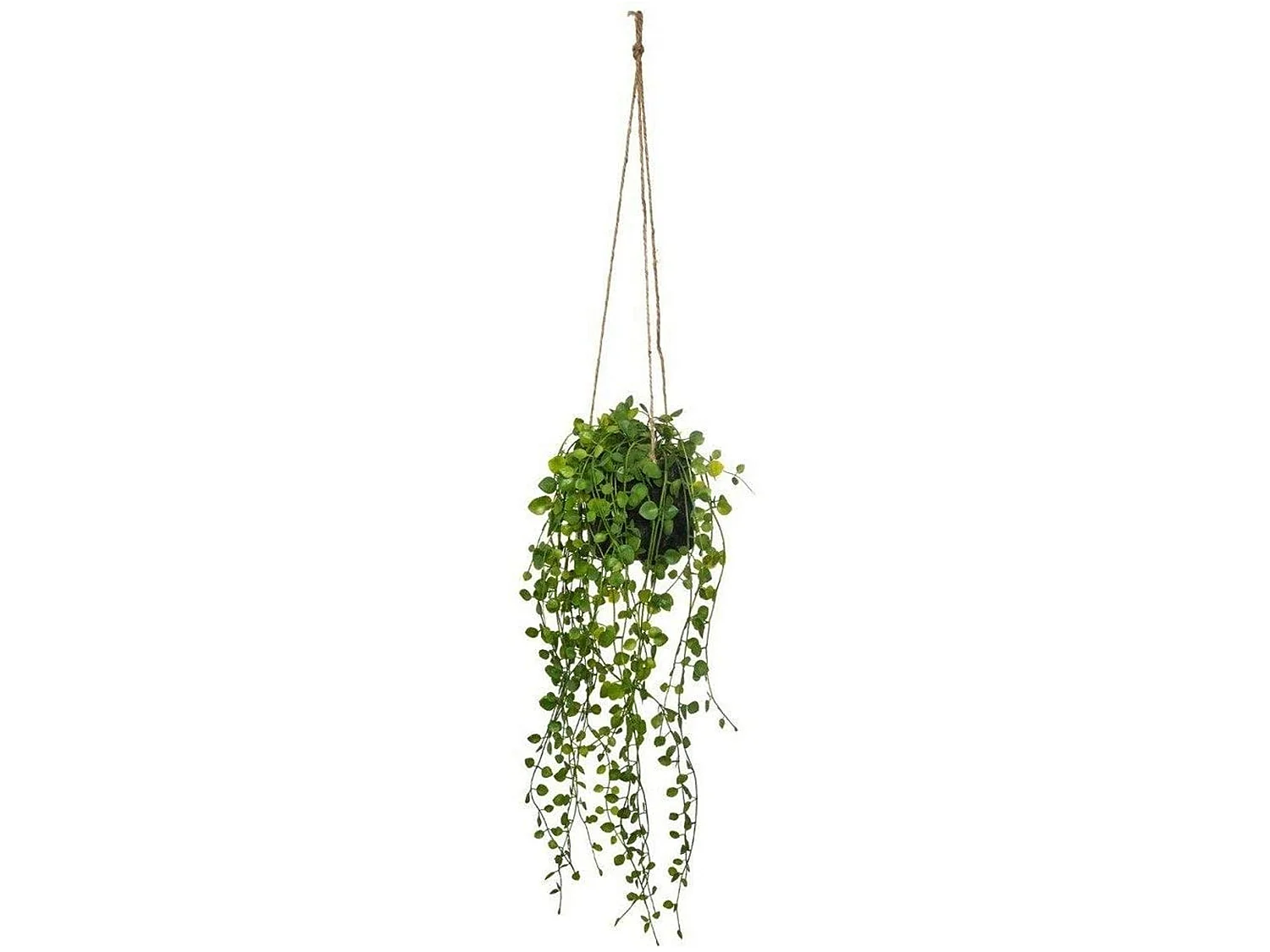 Plante Artificielle à Suspendre "Living" 62cm Vert