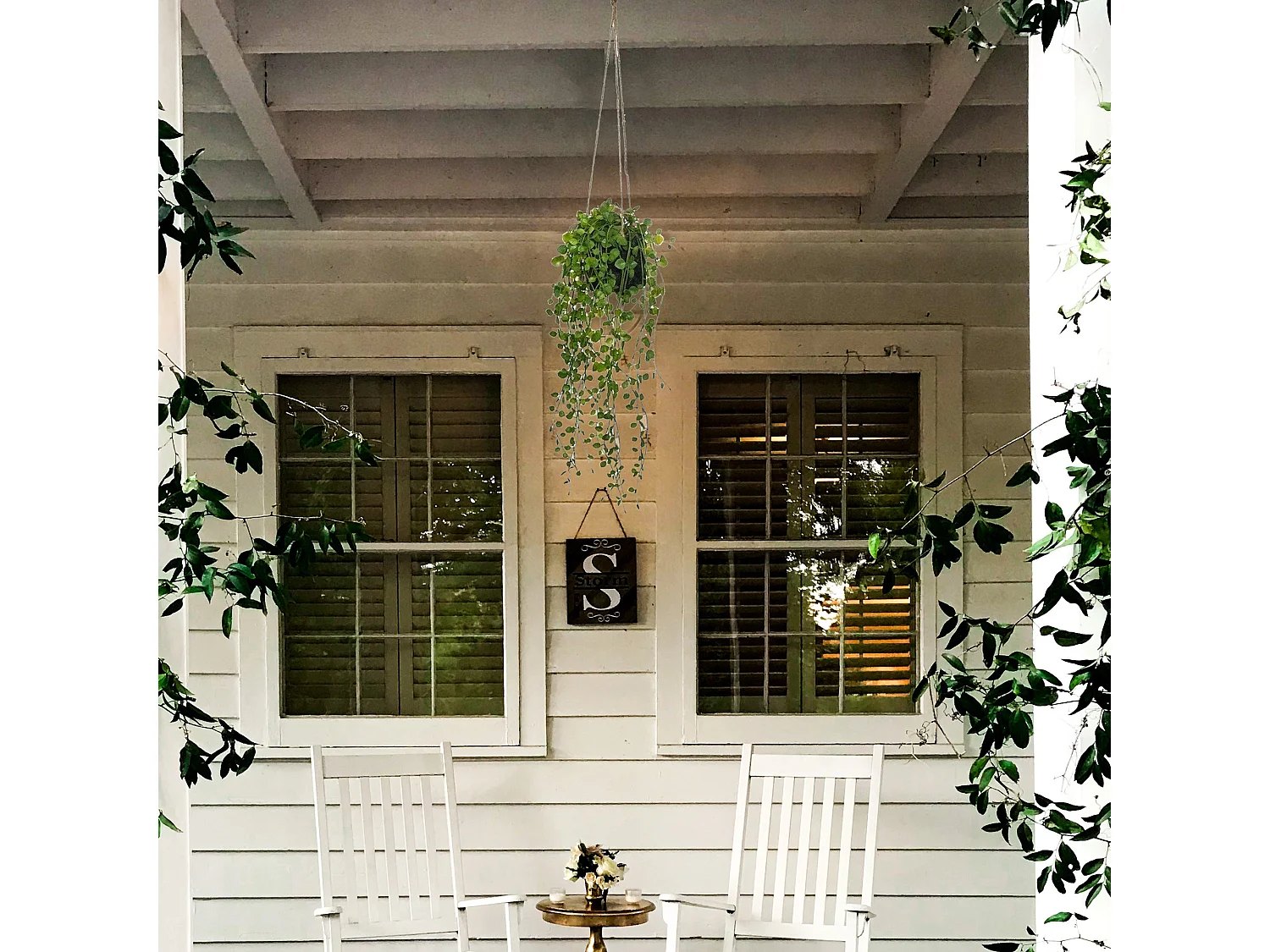 Plante Artificielle à Suspendre "Living" 62cm Vert