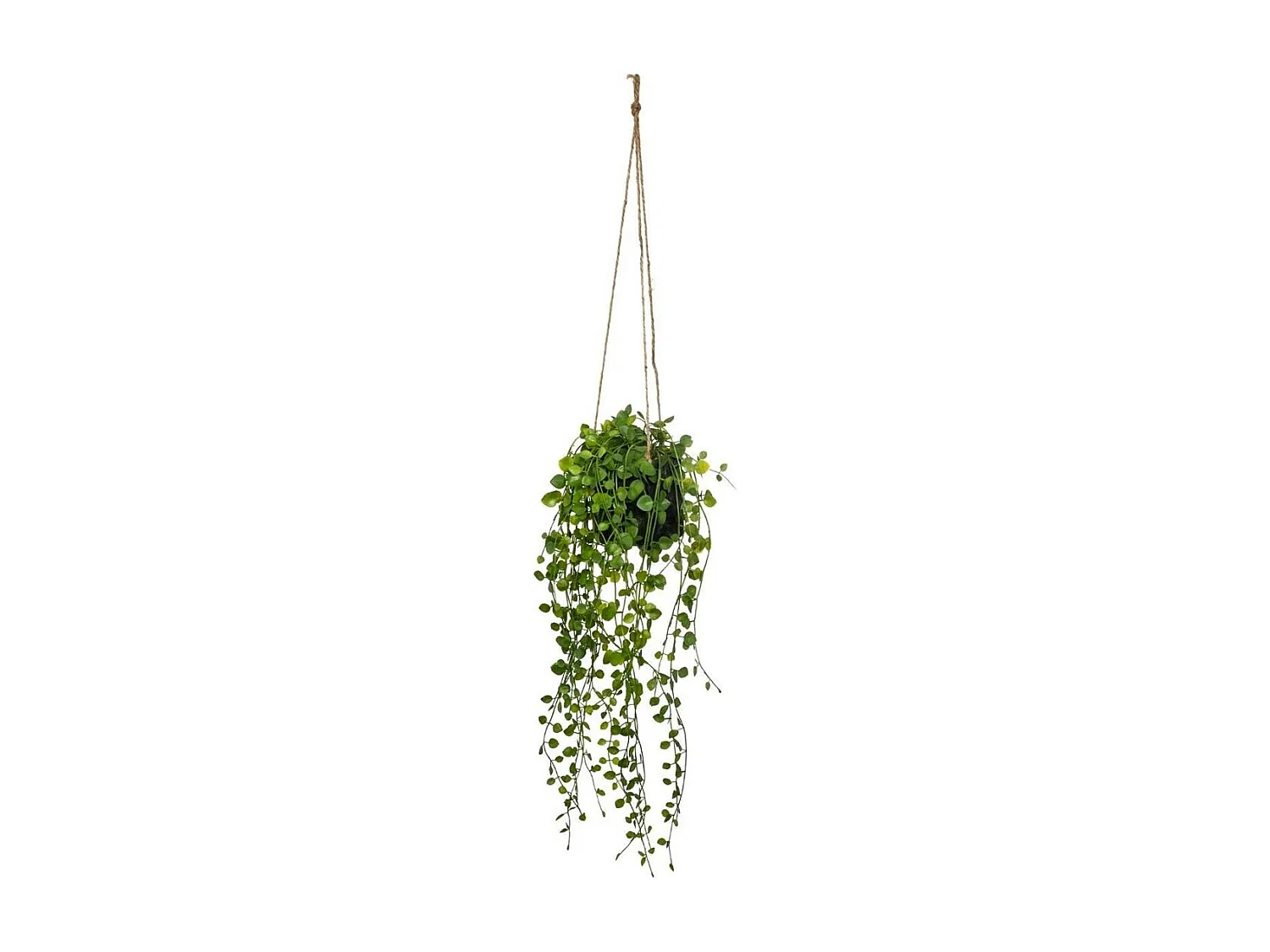 Plante Artificielle à Suspendre "Living" 62cm Vert