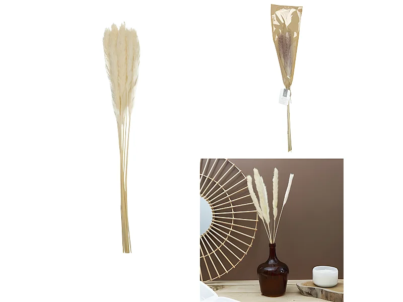 Lot de 6 Herbes de Pampa "Séchées" 60cm Beige