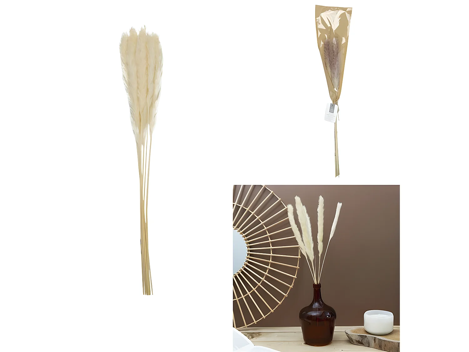 Lot de 6 Herbes de Pampa "Séchées" 60cm Beige