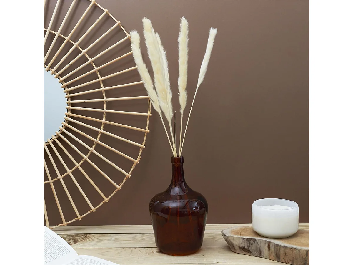 Lot de 6 Herbes de Pampa "Séchées" 60cm Beige