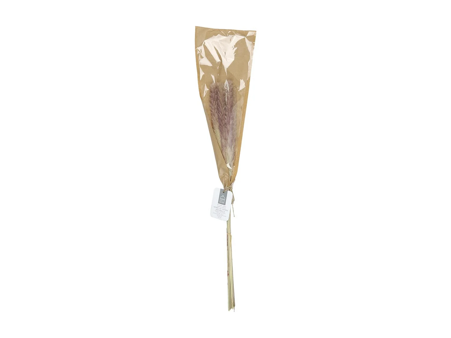 Lot de 6 Herbes de Pampa "Séchées" 60cm Beige