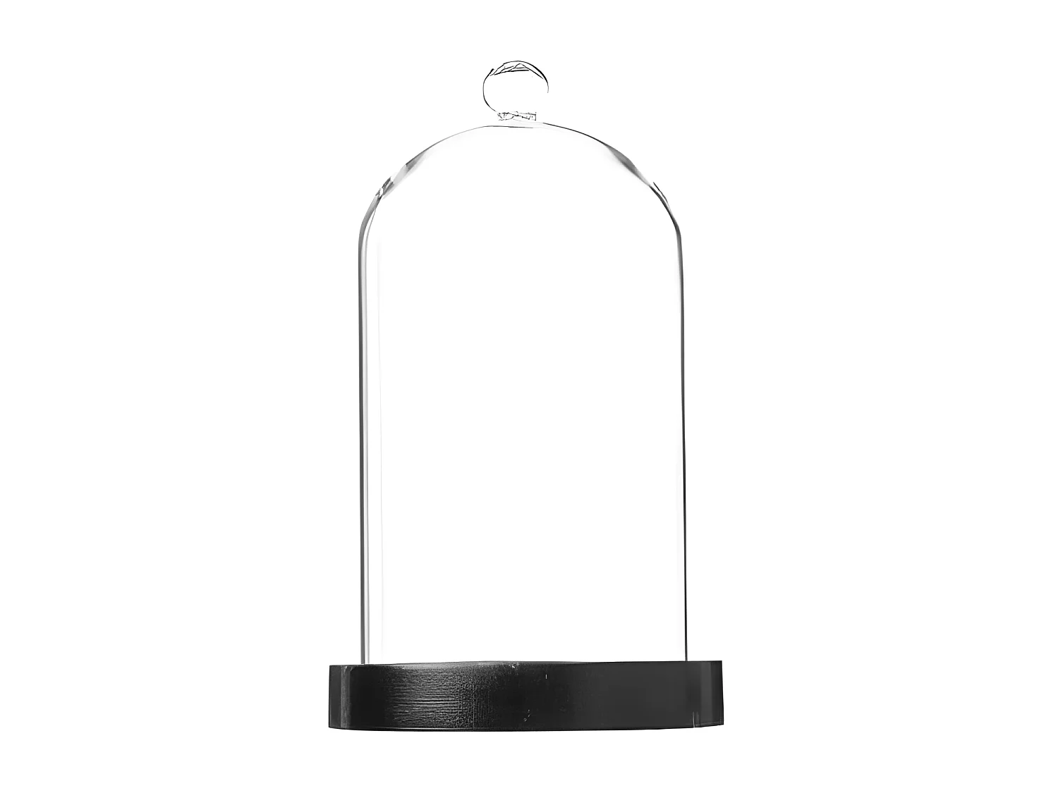 Cloche Décorative en Verre "Dara" 19cm Transparent