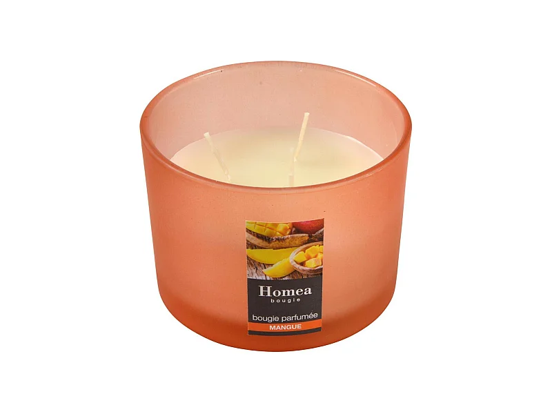 Bougie Verrine Parfumée "Essentiel" 11cm Mangue