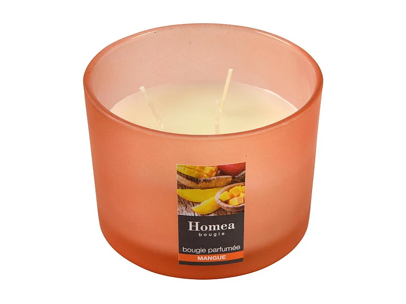 Bougie Verrine Parfumée "Essentiel" 11cm Mangue