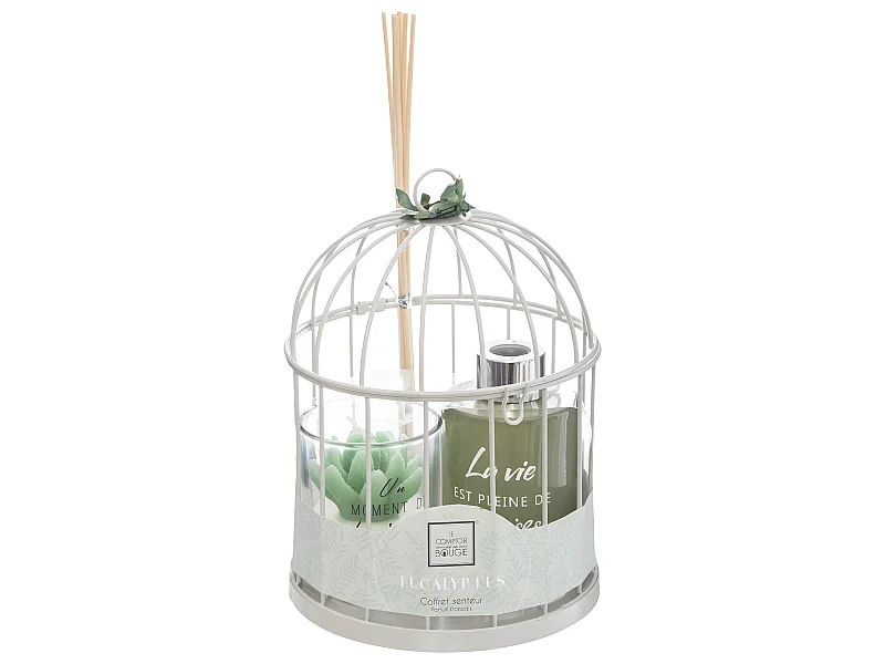 Coffret de Fragrances "Cage" 20cm Eucalyptus
