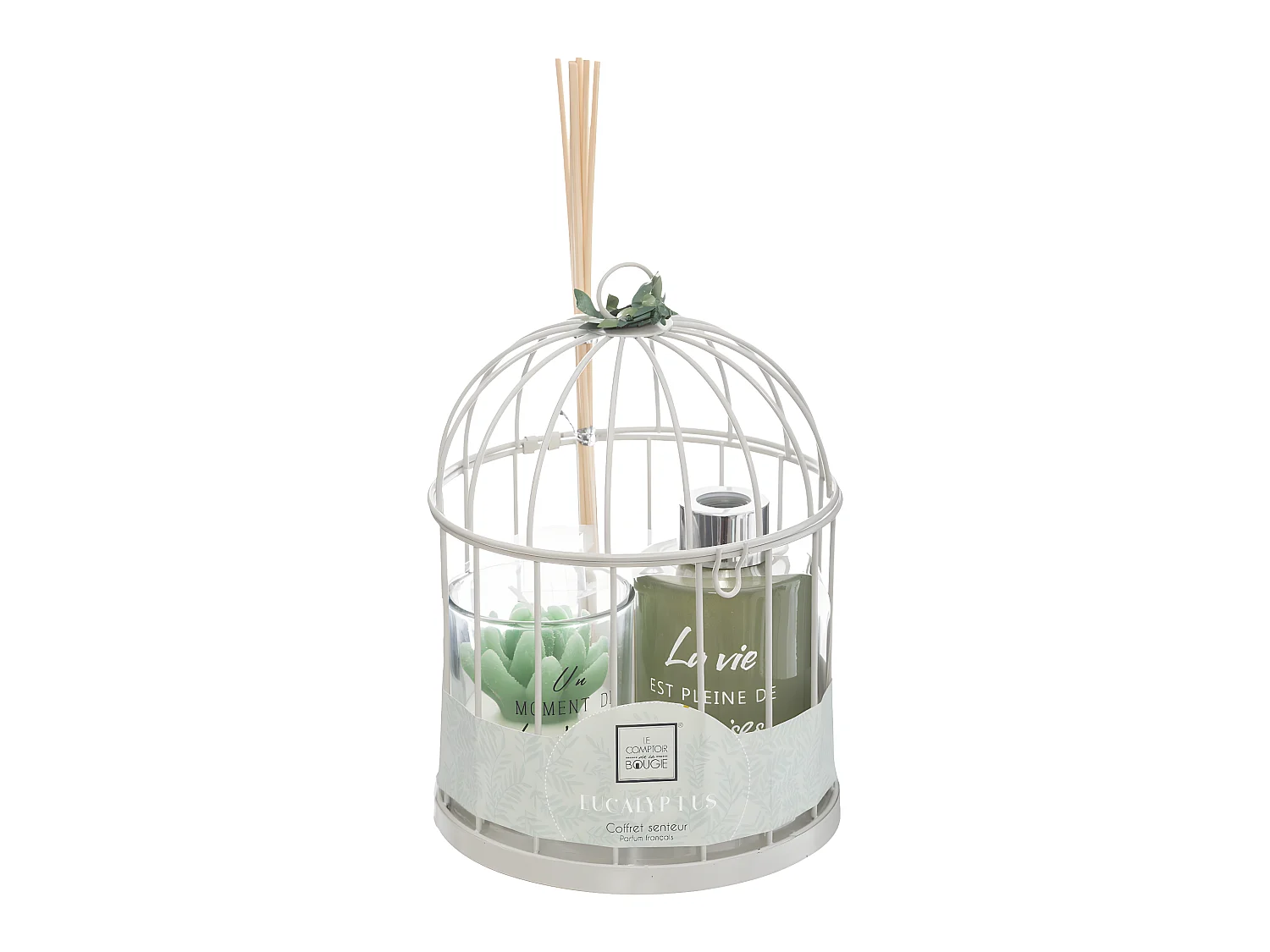 Coffret de Fragrances "Cage" 20cm Eucalyptus