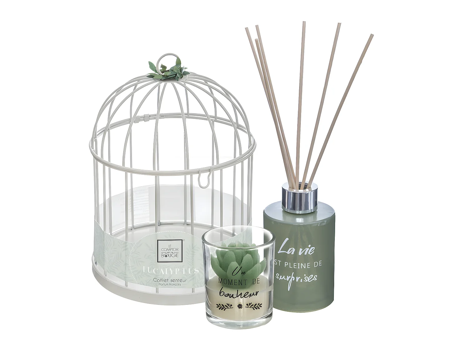 Coffret de Fragrances "Cage" 20cm Eucalyptus