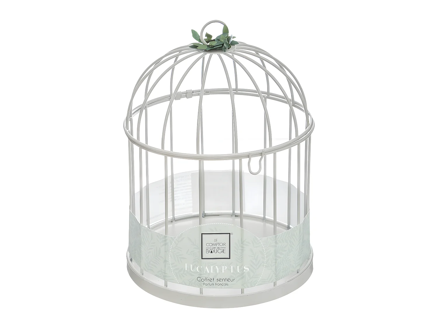 Coffret de Fragrances "Cage" 20cm Eucalyptus